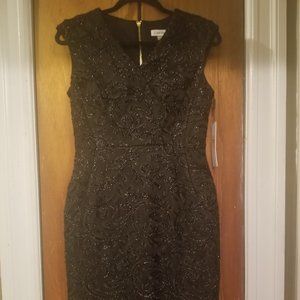 Calvin Klein Sequence Cocktail Dress